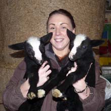 Fishers Mobile Farm - Zwartble lambs with Rachael